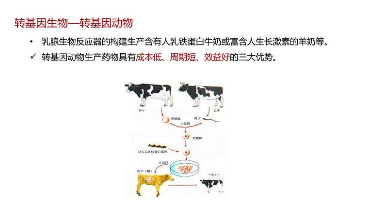 第一节 转基因产品的安全性课件PPT+教案08