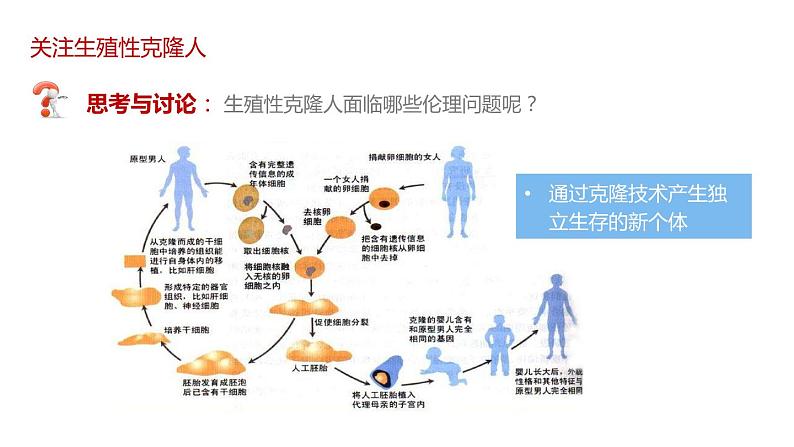 第二节 《关注生殖性克隆人》课件PPT+教案04