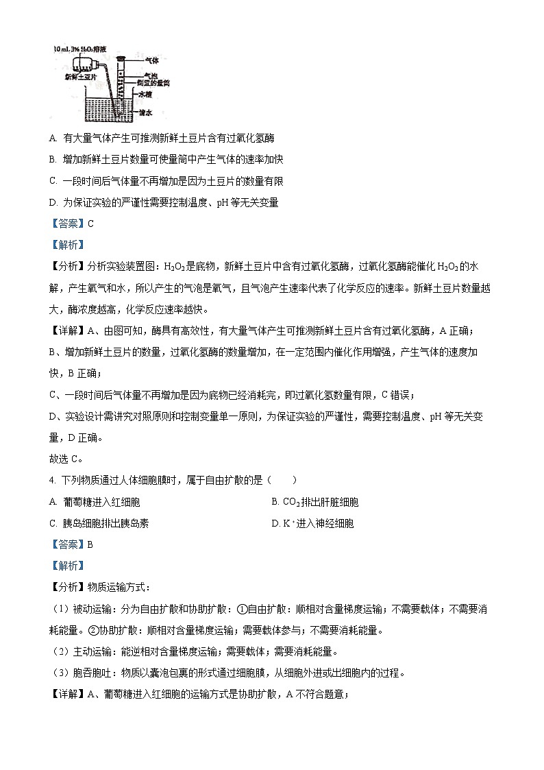 2022_2023学年江苏省泰州市靖江高级中学高一上学期第三次阶段测试生物试题（解析版）第2页