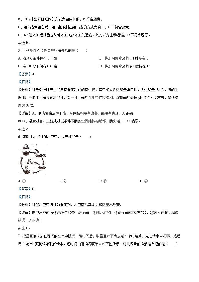 2022_2023学年江苏省泰州市靖江高级中学高一上学期第三次阶段测试生物试题（解析版）第3页