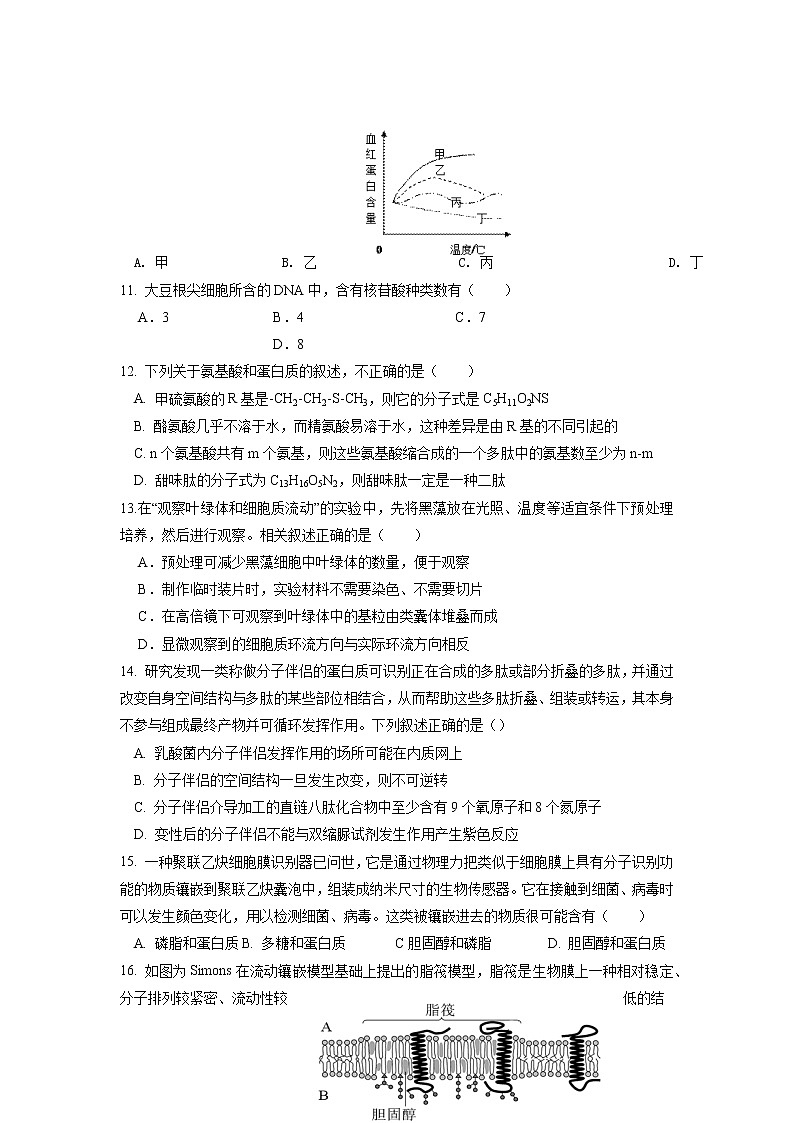 2022-2023学年福建省厦门市湖滨中学高一上学期期中考试生物试题第3页