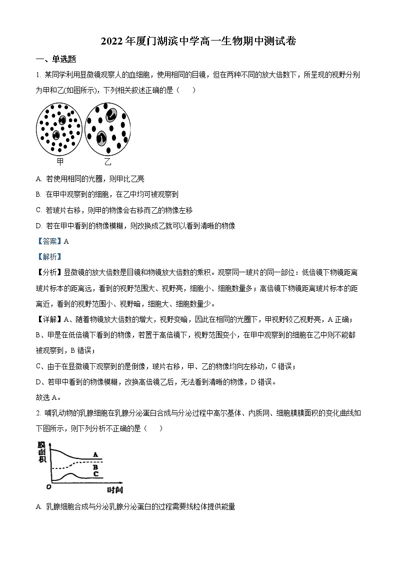2022-2023学年福建省厦门市湖滨中学高一上学期期中生物试题（解析版）01