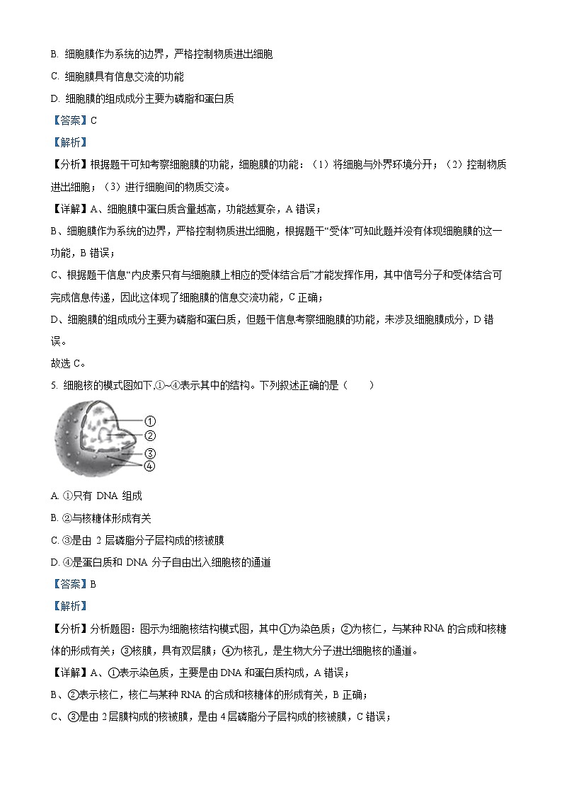 2022-2023学年福建省厦门市湖滨中学高一上学期期中生物试题（解析版）03