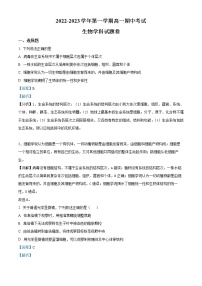2022-2023学年广东省东莞市光明 中学高一上学期期中生物试题（解析版）