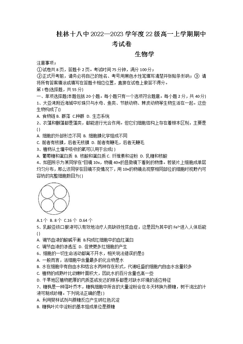2022-2023学年广西桂林市十八中高一上学期期中生物试题01