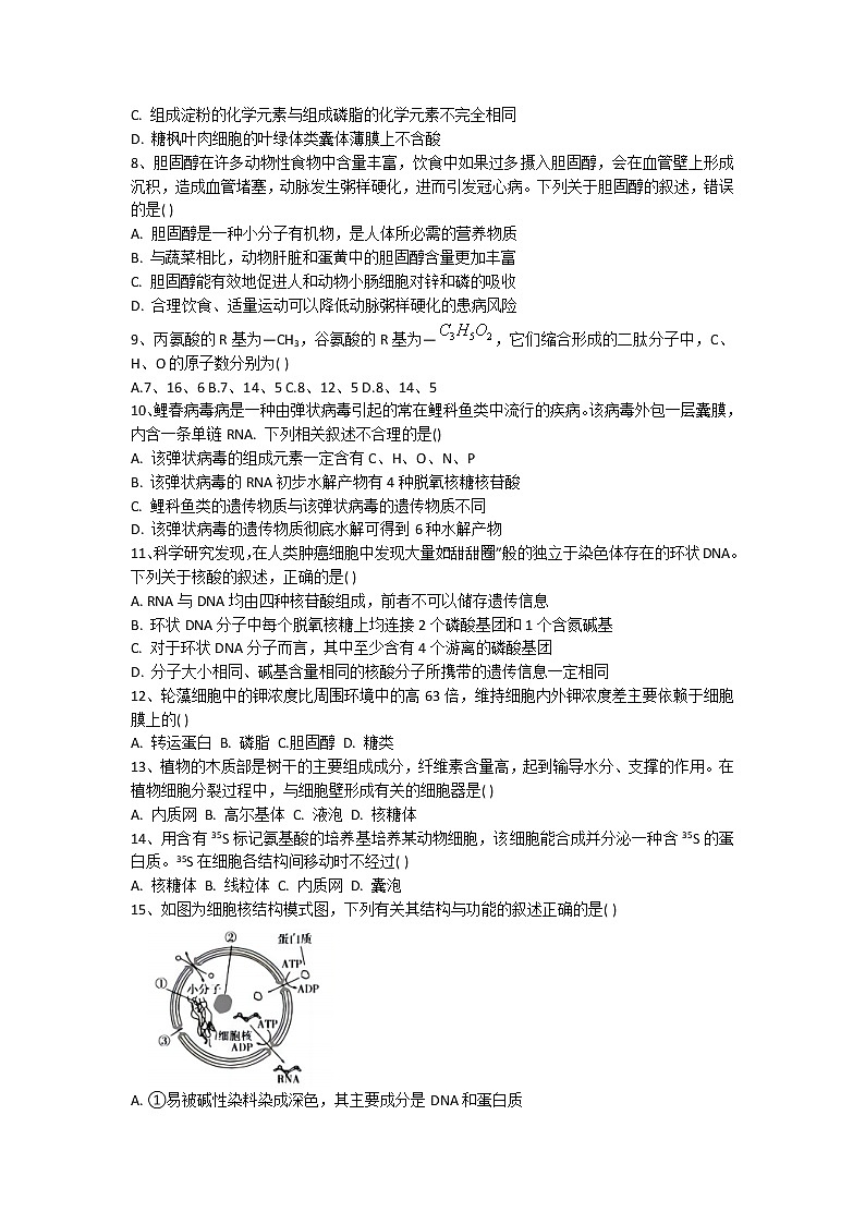 2022-2023学年广西桂林市十八中高一上学期期中生物试题02