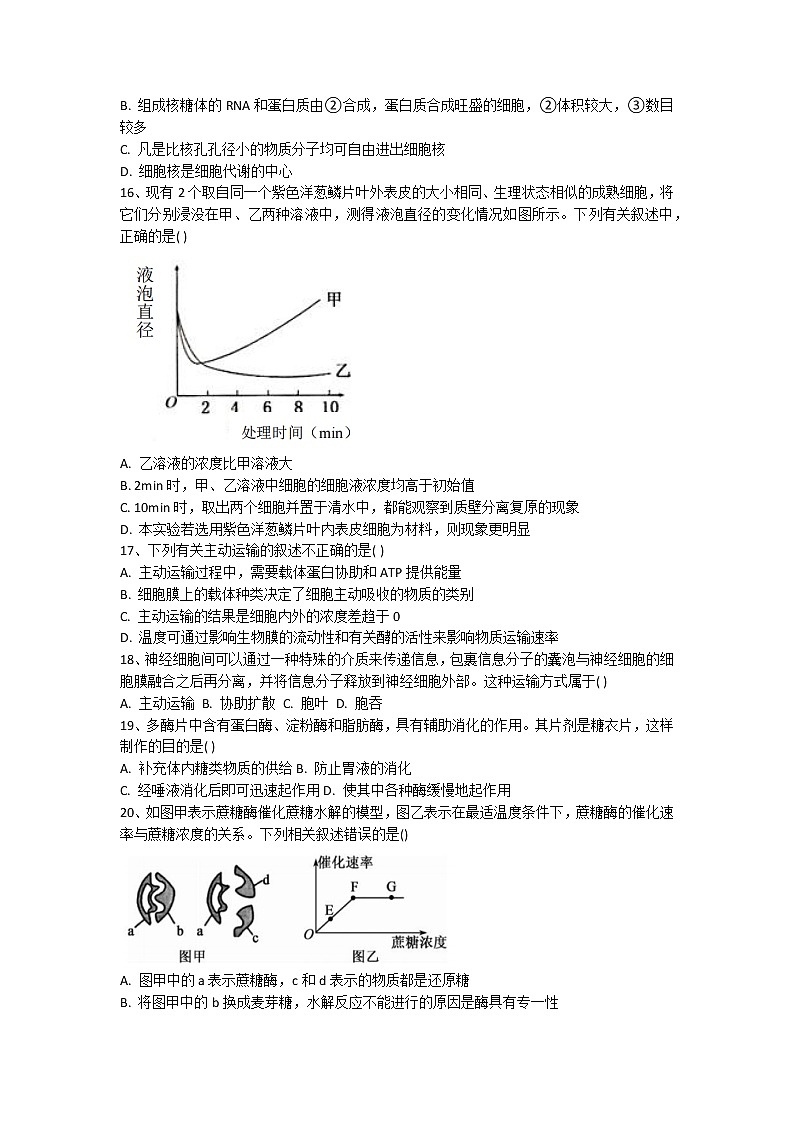 2022-2023学年广西桂林市十八中高一上学期期中生物试题03