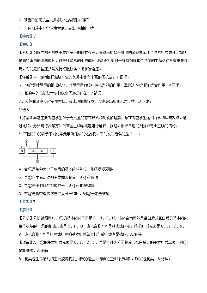 2022-2023学年河北省石家庄外国语学校高一上学期中生物试题（解析版）第3页
