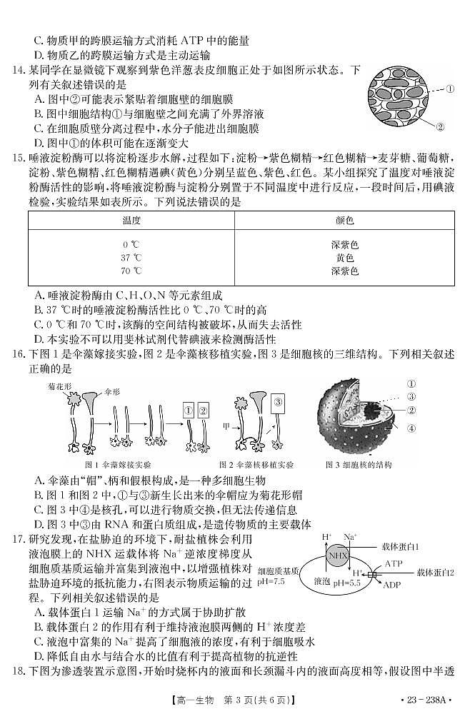 2022-2023学年河南省新乡市高一上学期选科调研二生物试题PDF版第3页