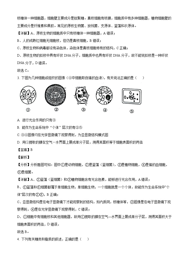 2022-2023学年湖北省黄冈市高一上学期期中联考生物试题02