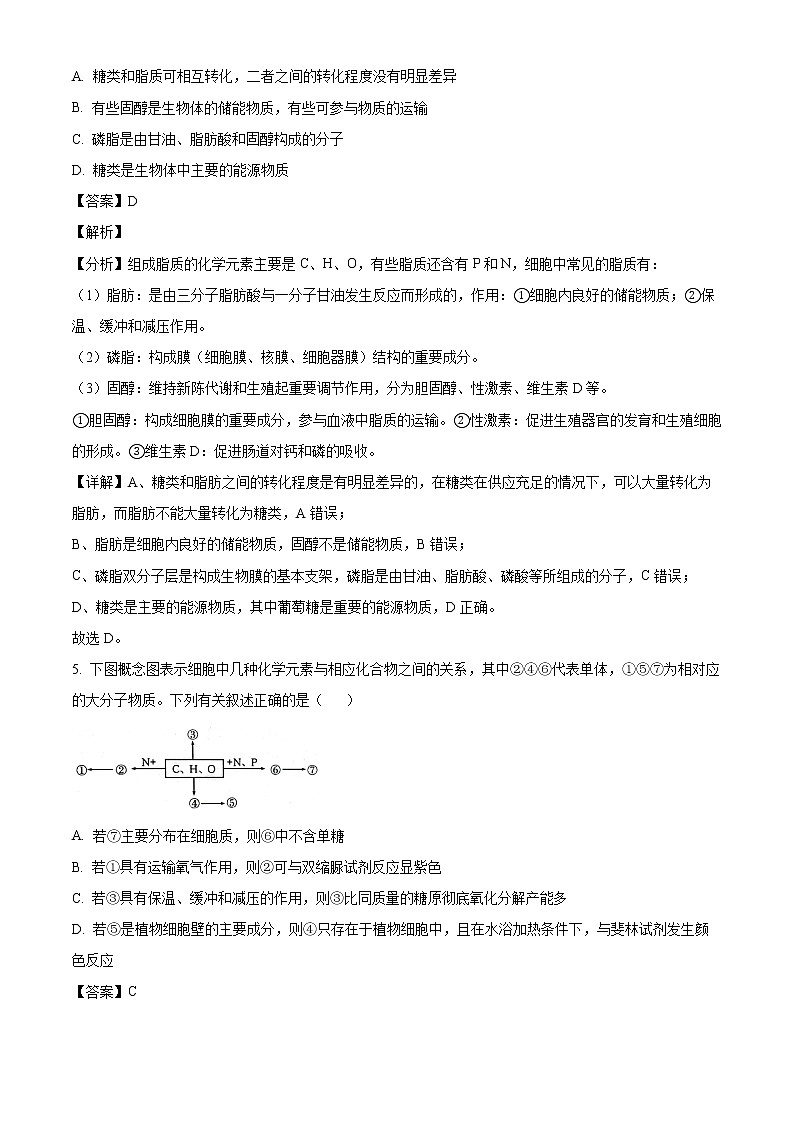 2022-2023学年湖北省黄冈市高一上学期期中联考生物试题03