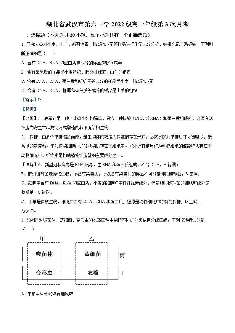 2022-2023学年湖北省武汉市六中高一上学期第三次月考生物试题（解析版）01