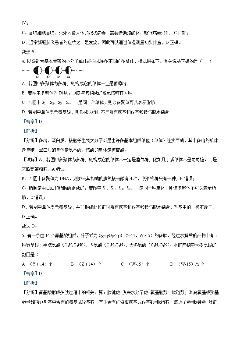2022-2023学年湖北省武汉市六中高一上学期第三次月考生物试题（解析版）03