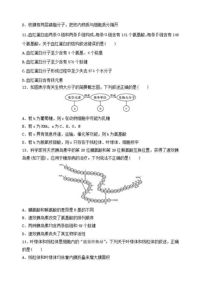 2022-2023学年吉林省长春市第五中学高一上学期期中考试生物试题03