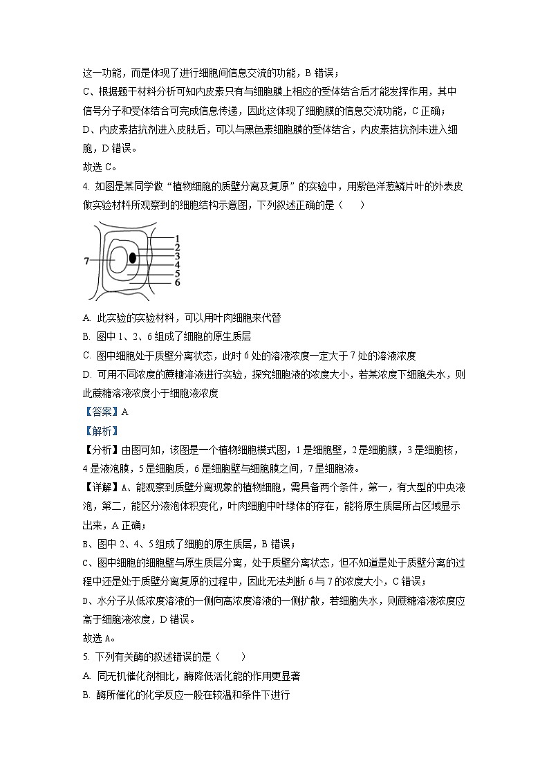 2022-2023学年江西省景德镇市一中高一上学期期中（19班）生物试题（解析版）03