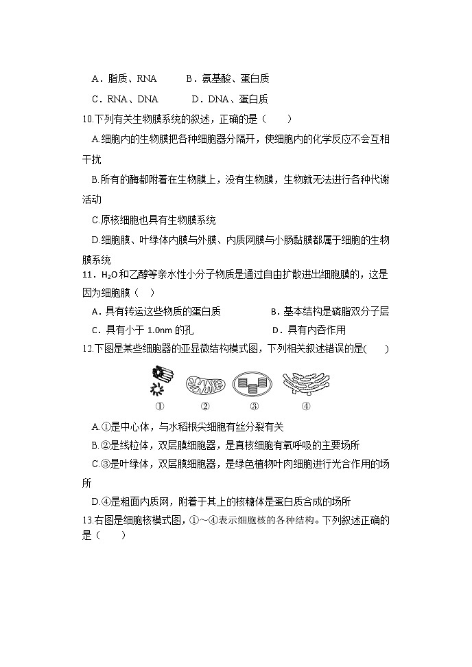 2022-2023学年江西省南昌市第十中学高一上学期第二次月考生物试卷03