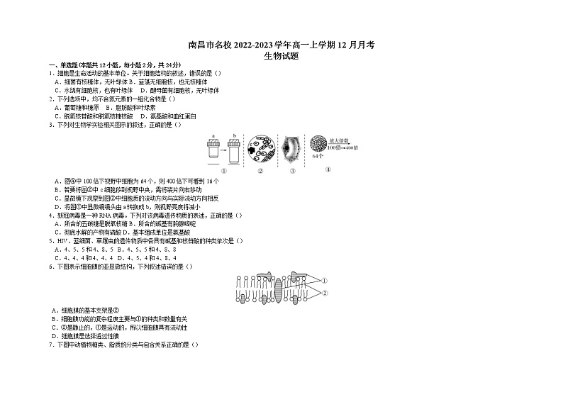 2022-2023学年江西省南昌市名校高一上学期12月月考生物学试题（Word版含答案）第1页