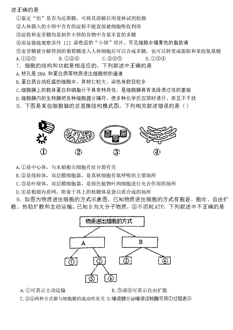 2022-2023学年辽宁省鞍山市普通高中高一上学期12月第三次联考生物学试题（Word版含答案）02