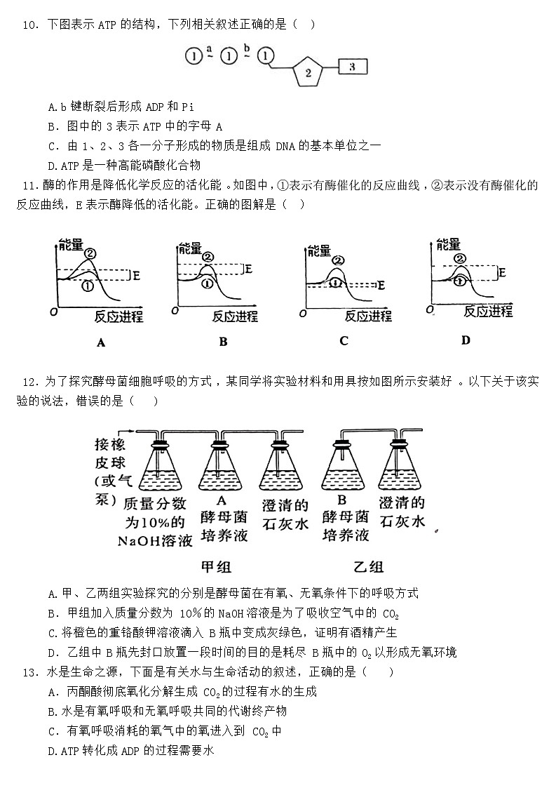 2022-2023学年辽宁省鞍山市普通高中高一上学期12月第三次联考生物学试题（Word版含答案）03