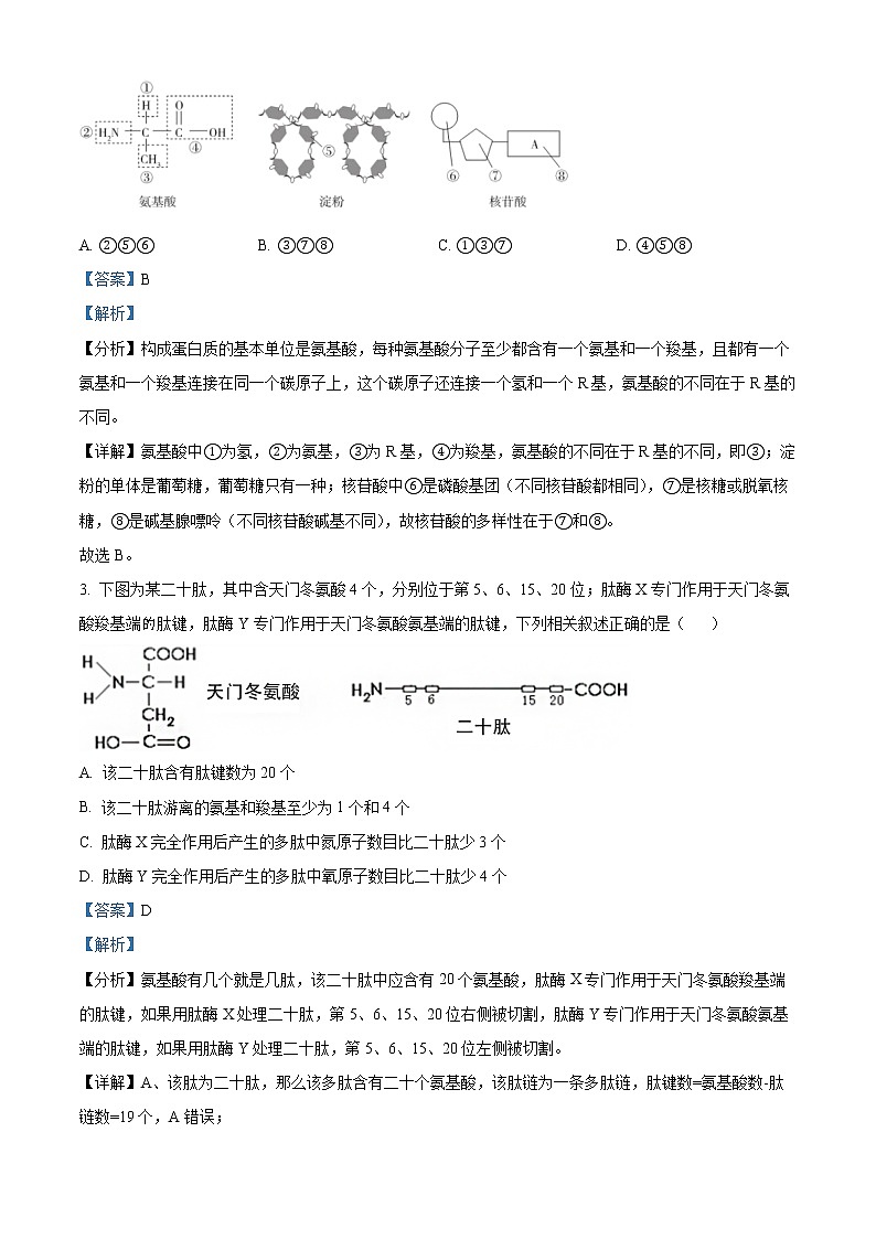 2022-2023学年辽宁省沈阳市一二〇中高一上学期第三次月考生物试题（解析版）02