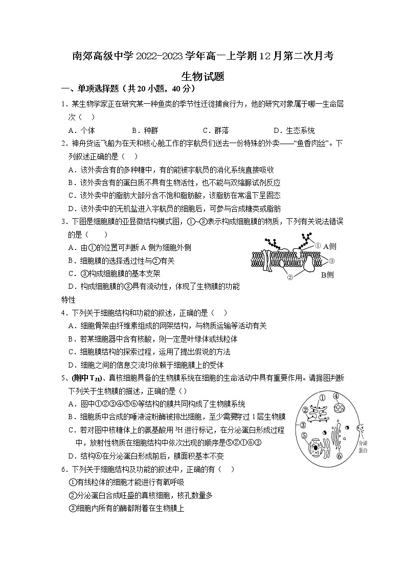 2022-2023学年陕西省咸阳市兴平市南郊高级中学高一上学期12月第二次月考生物学试题（Word版含答案）01