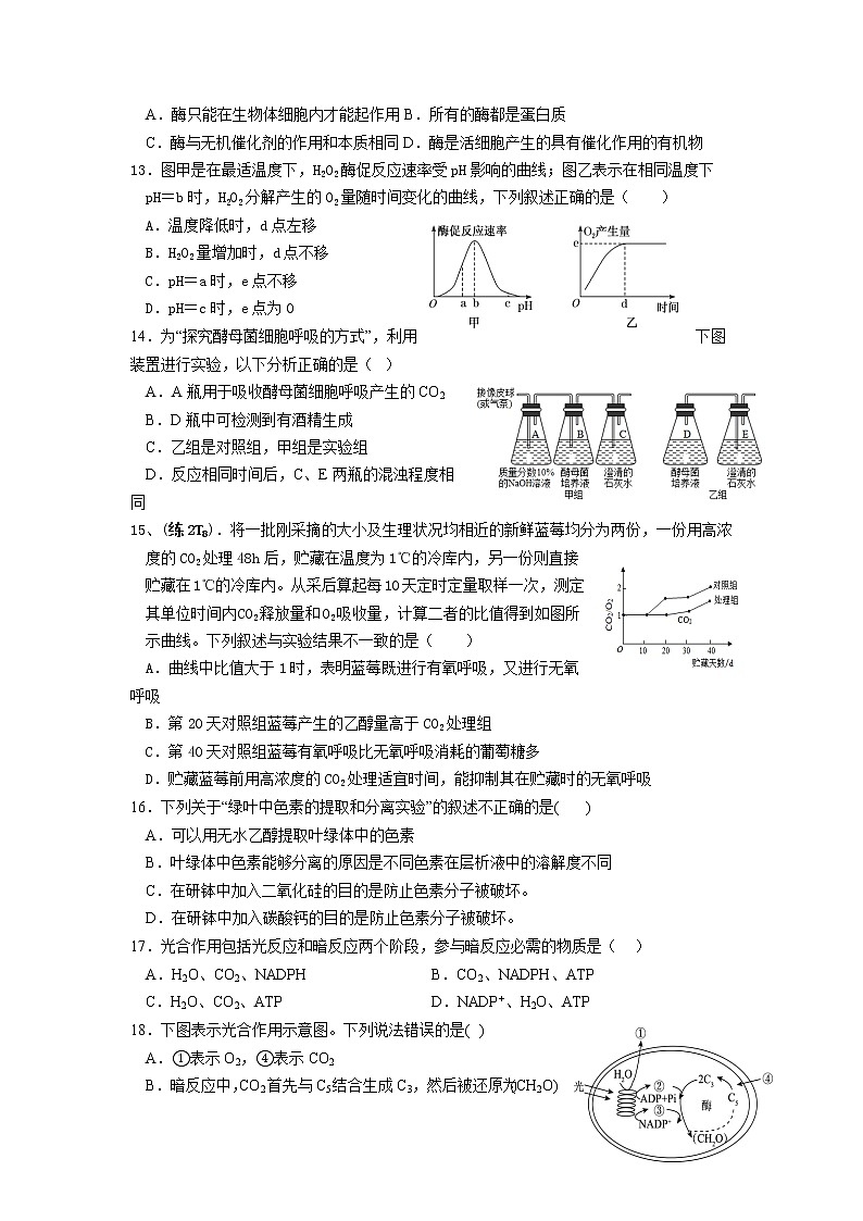 2022-2023学年陕西省咸阳市兴平市南郊高级中学高一上学期12月第二次月考生物学试题（Word版含答案）03