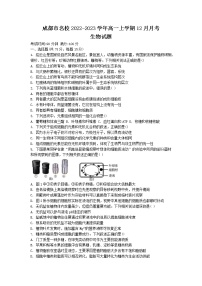 2022-2023学年四川省成都市名校高一上学期12月月考生物学试题（Word版含答案）