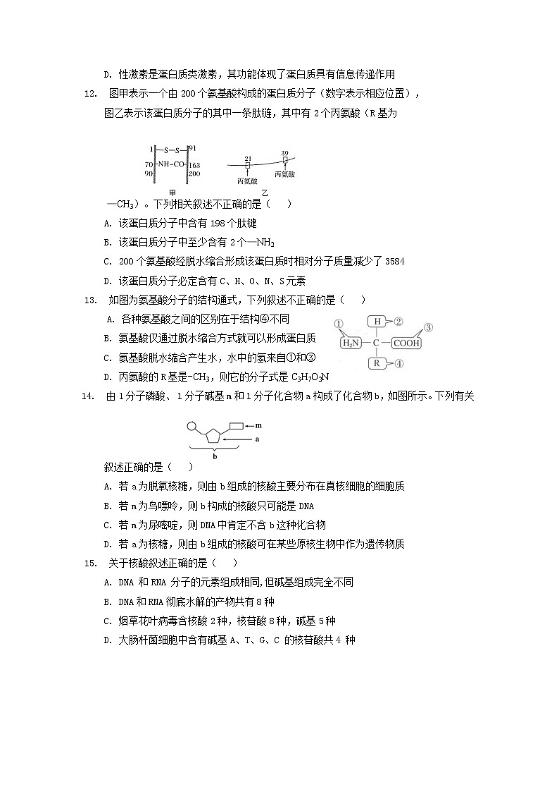 2022-2023学年四川省广安市第二中学校高一上学期第二次月考生物试题03