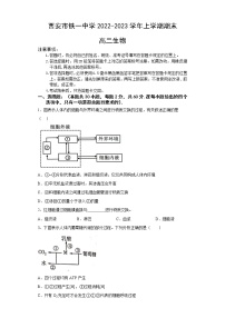 陕西省西安市铁一中学2022-2023学年高二生物上学期1月期末试题（Word版附答案）