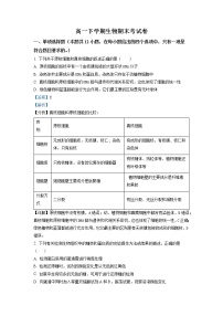 湖南省衡阳耒阳市二中2022-2023学年高一生物上学期期末考试试卷（Word版附解析）