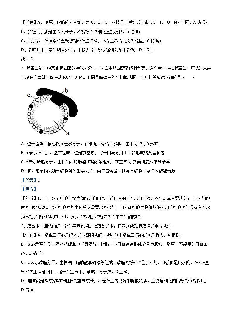 重庆市沙坪坝区重点中学2022-2023学年高三上期期末复习题（一）生物试题Word版含解析02
