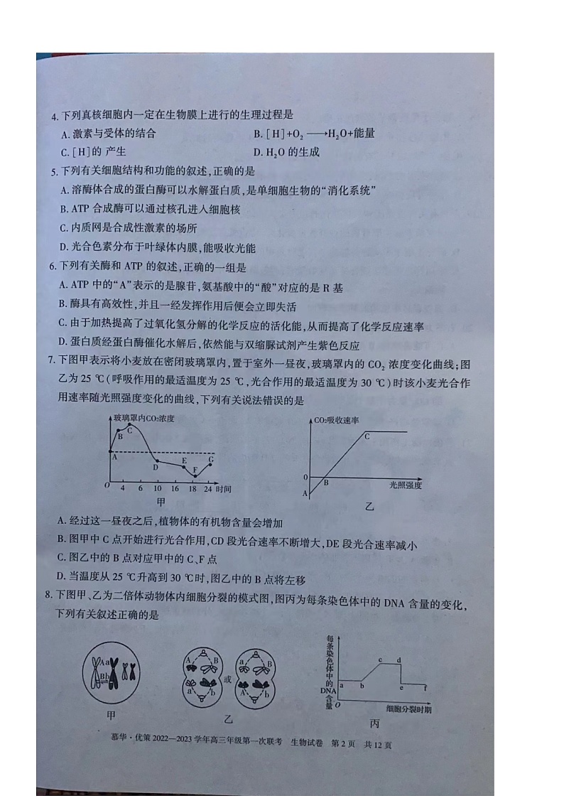 2023新疆部分学校高三上学期第一次联考生物试题扫描版含答案02