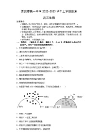 2023西安铁一中学高三上学期1月期末考试生物试题含答案