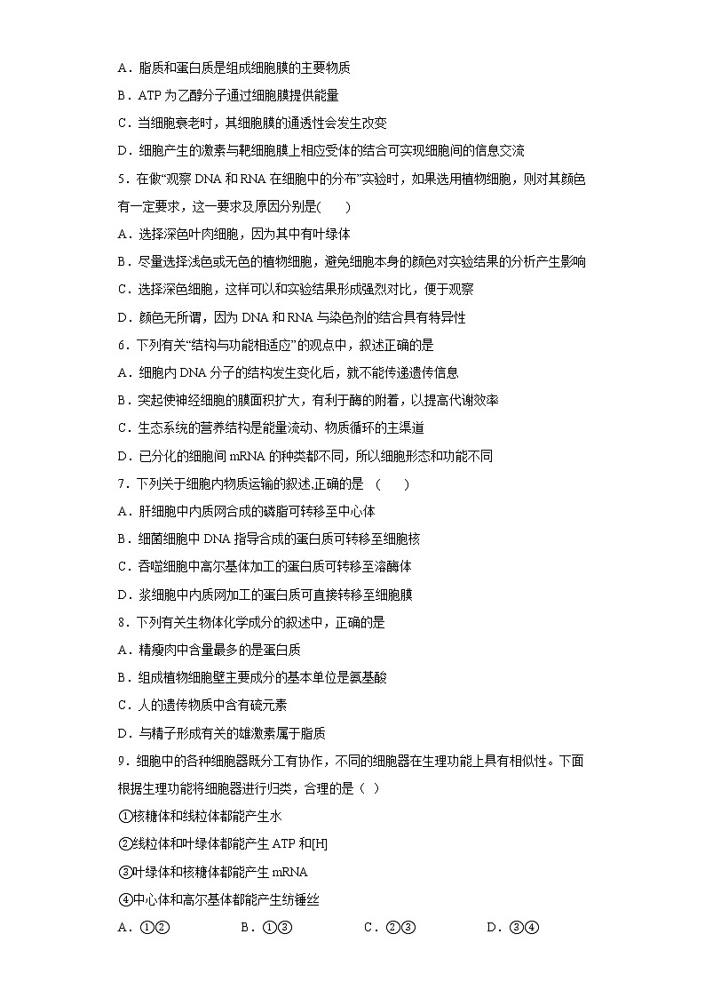 2023西安铁一中学高三上学期1月期末考试生物试题含答案02