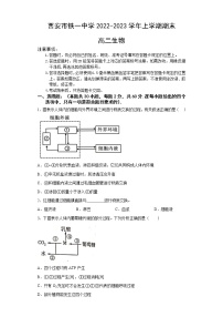 2023西安铁一中学高二上学期1月期末生物试题含答案