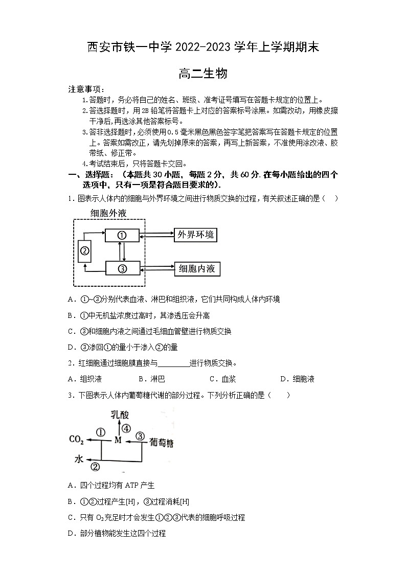 2023西安铁一中学高二上学期1月期末生物试题含答案01