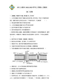 2023陕西省西北工业大学附中高二上学期1月期末考试生物试题含答案