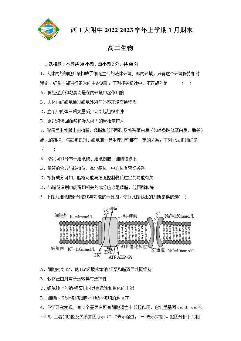 2023陕西省西北工业大学附中高二上学期1月期末考试生物试题含答案第1页