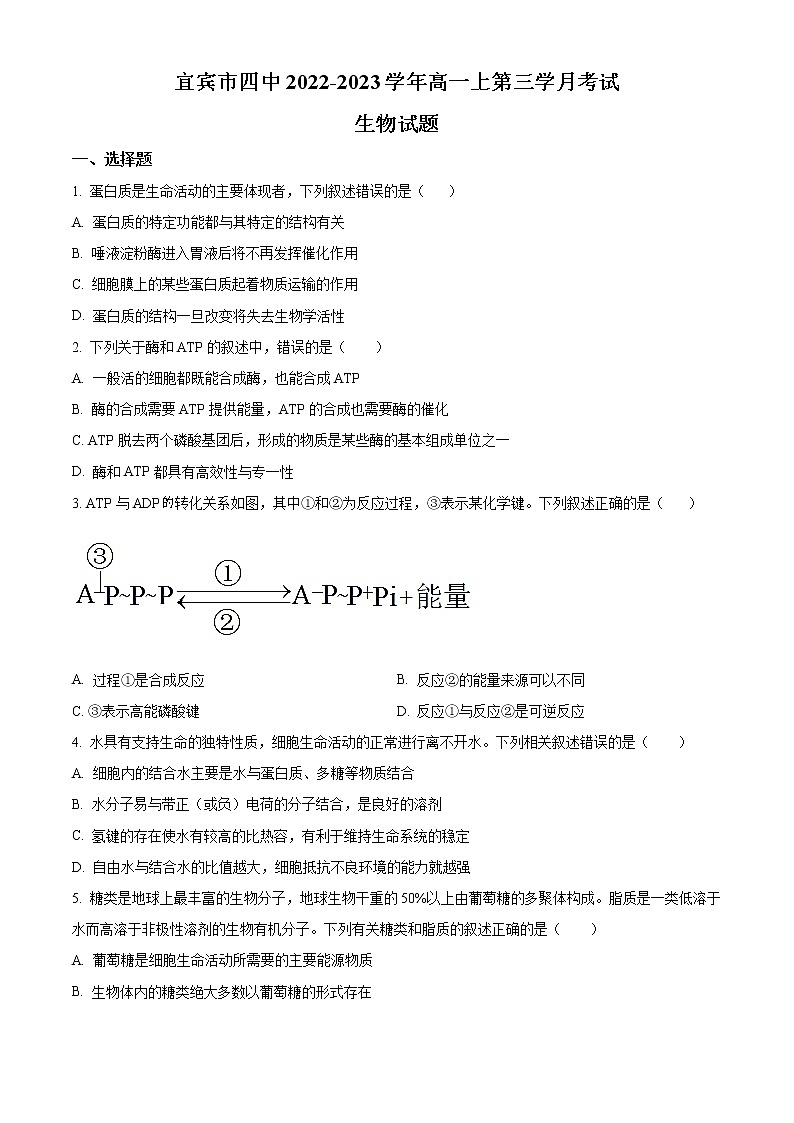 四川省宜宾市四中2022-2023学年高一上学期第三次月考试生物试题无答案第1页