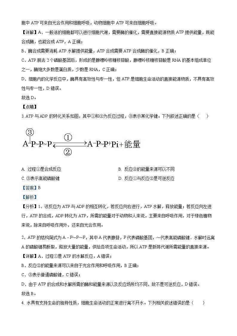 四川省宜宾市四中2022-2023学年高一上学期第三次月考试生物试题含解析第2页