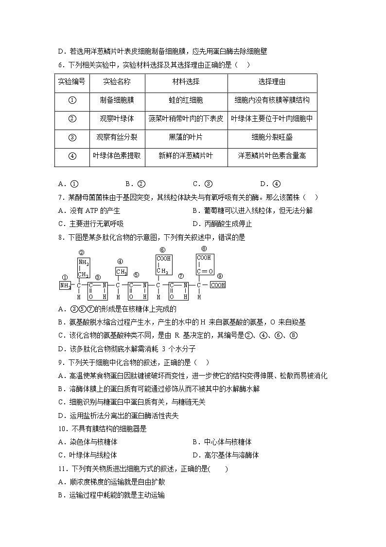 2022-2023学年重庆市西南大学附高高一上学期12月月考生物学试题（Word版含答案）02