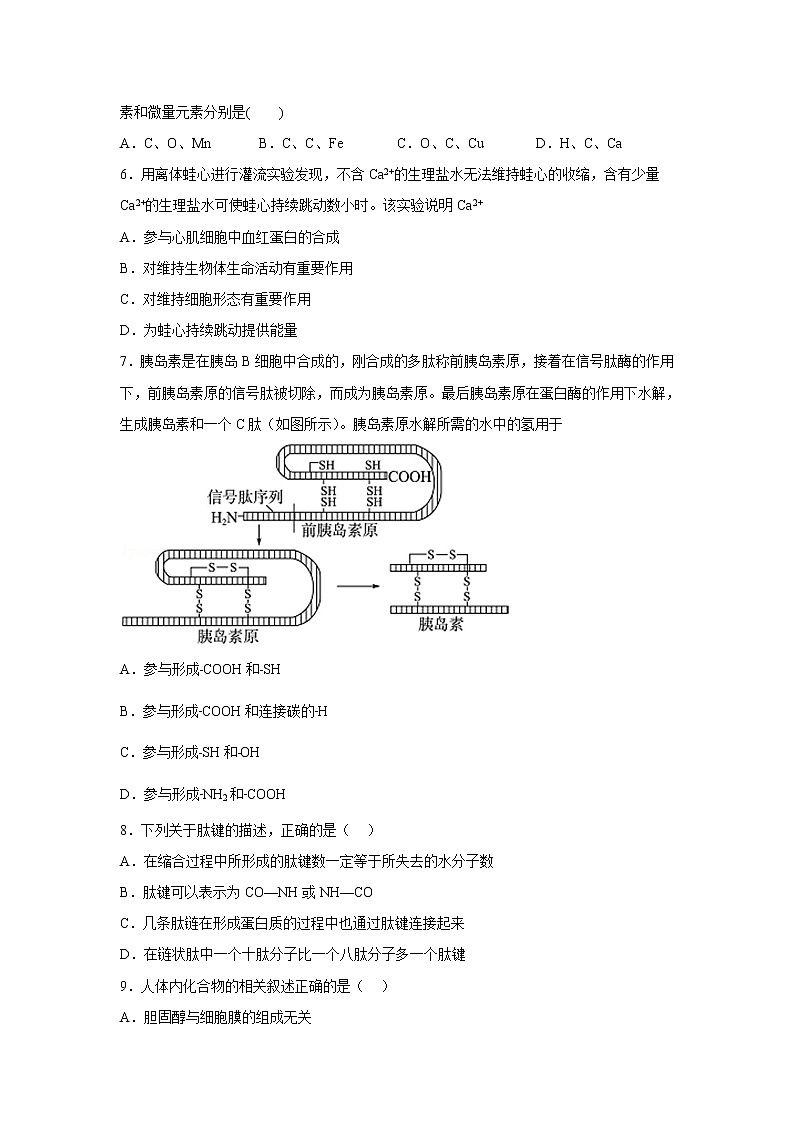 湖南省株洲市天元区名校2022-2023学年高一上学期12月月考生物试卷第2页