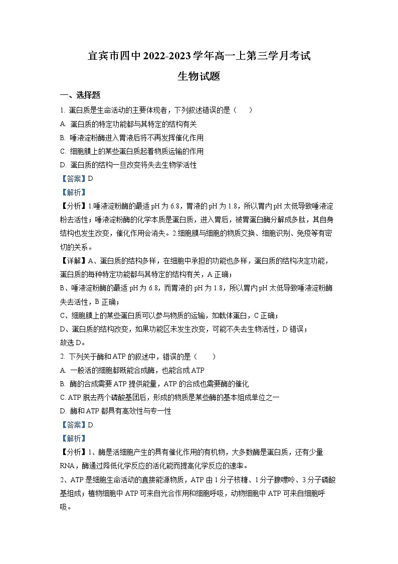 四川省宜宾市第四中学2022-2023学年高一生物上学期第三次月考试题（Word版附解析）第1页