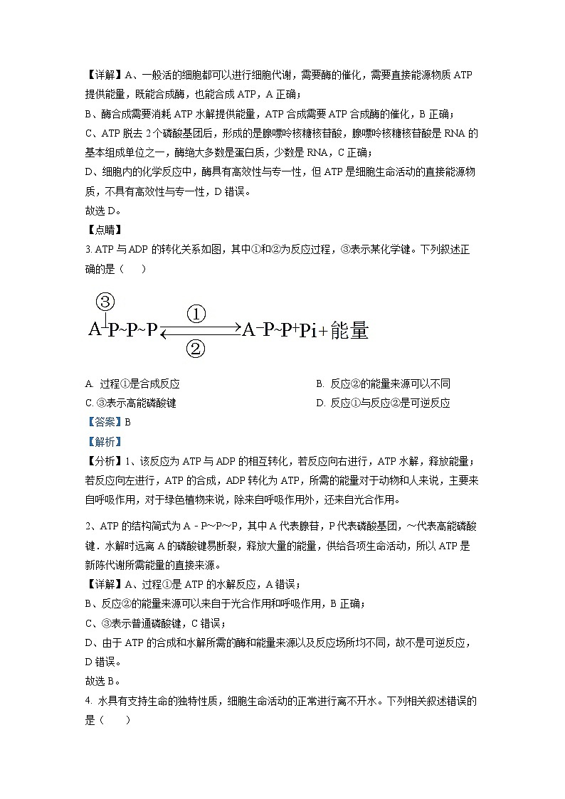 四川省宜宾市第四中学2022-2023学年高一生物上学期第三次月考试题（Word版附解析）第2页