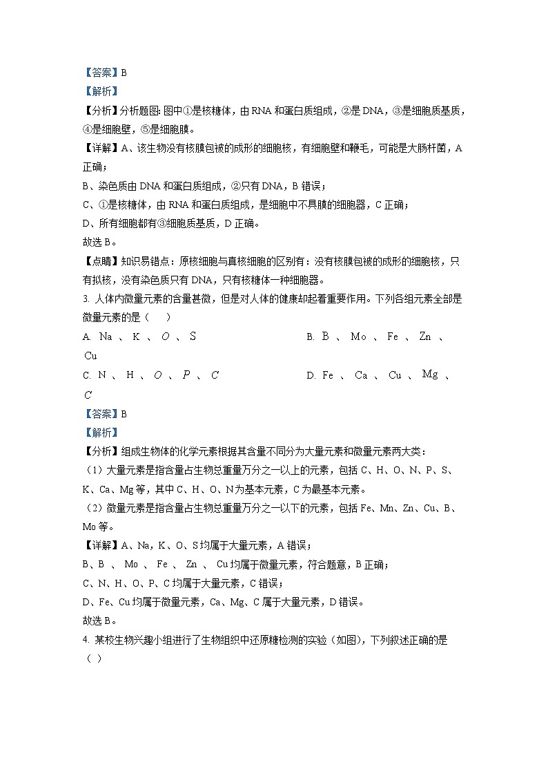湖南省益阳市六校2022-2023学年高一生物上学期期末联考试题（Word版附解析）02
