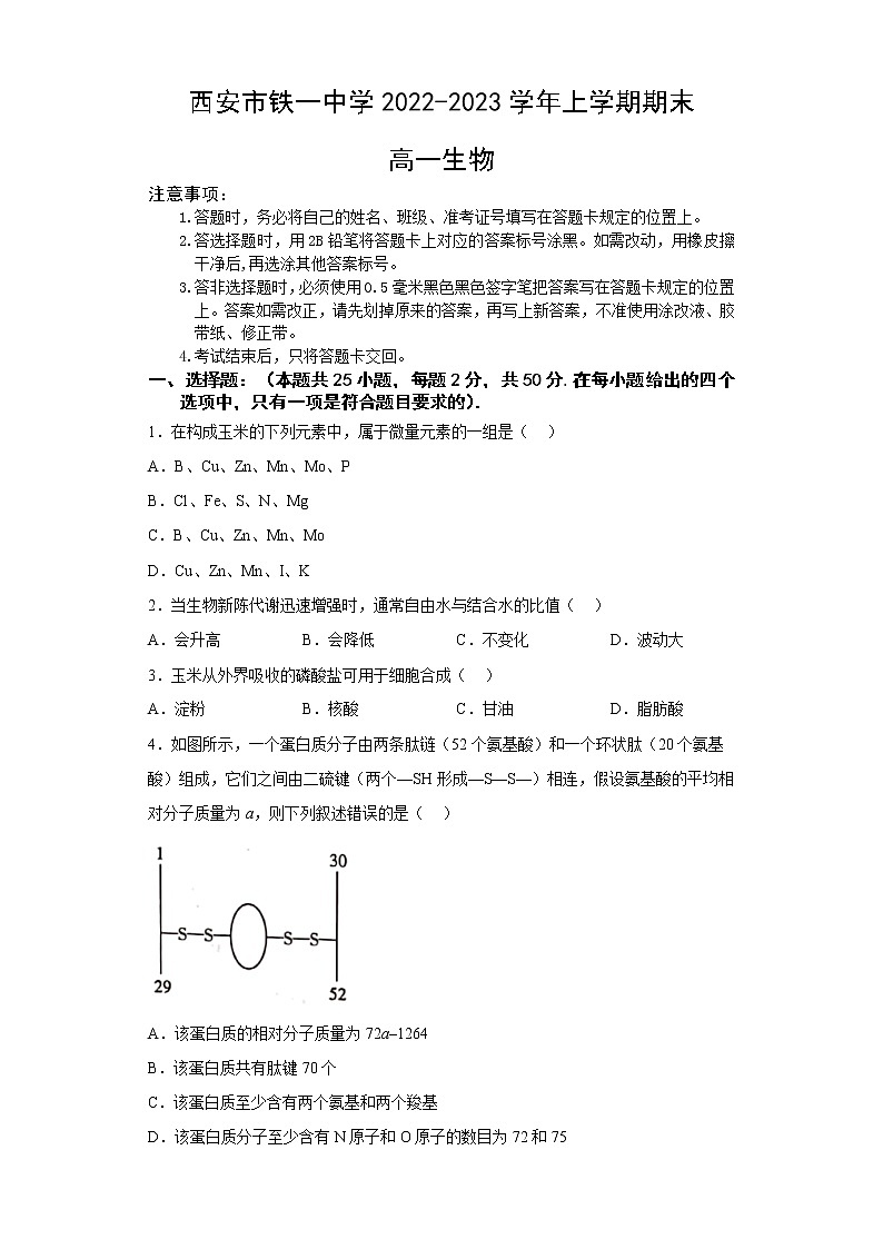 陕西省西安市铁一中学2022-2023学年高一生物上学期1月期末考试试题（Word版附答案）第1页