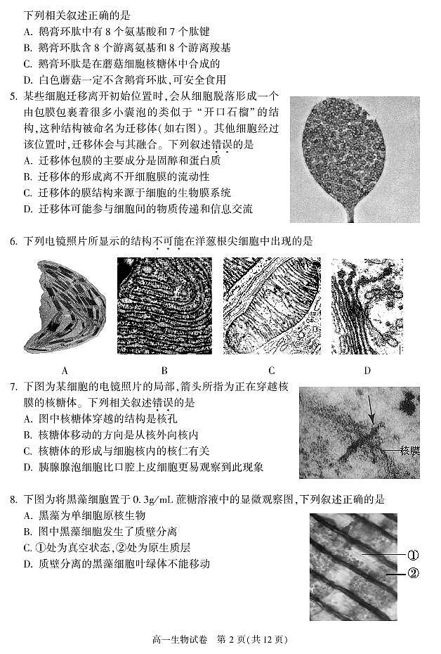 北京市朝阳区 2022—2023 学年度高一第一学期期末生物试题及答案02