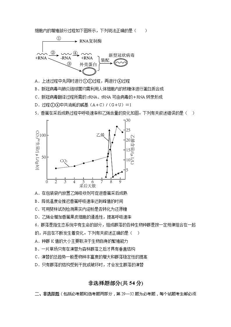 生物-2022-2023学年高三下学期开学摸底考试卷A（全国甲卷）02
