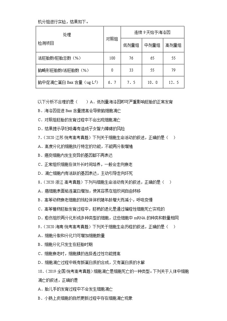 五年2018-2022高考生物真题按知识点分类汇编29-细胞的死亡（含解析）第2页