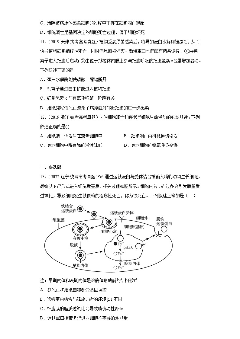 五年2018-2022高考生物真题按知识点分类汇编29-细胞的死亡（含解析）第3页